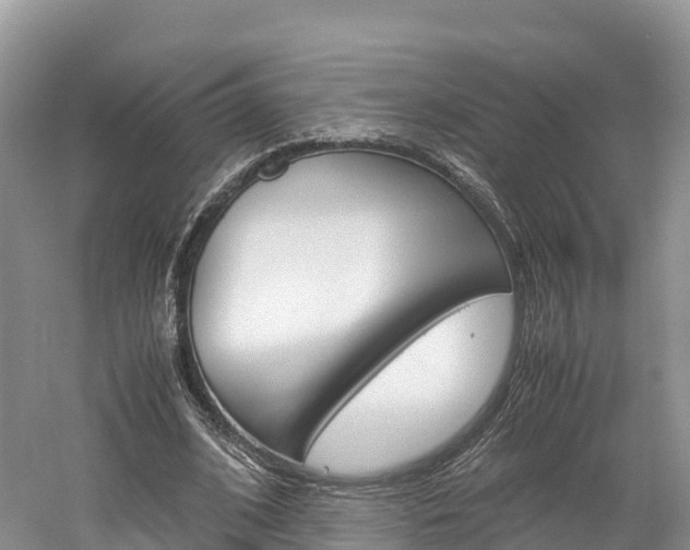 X0000061720584200512021044