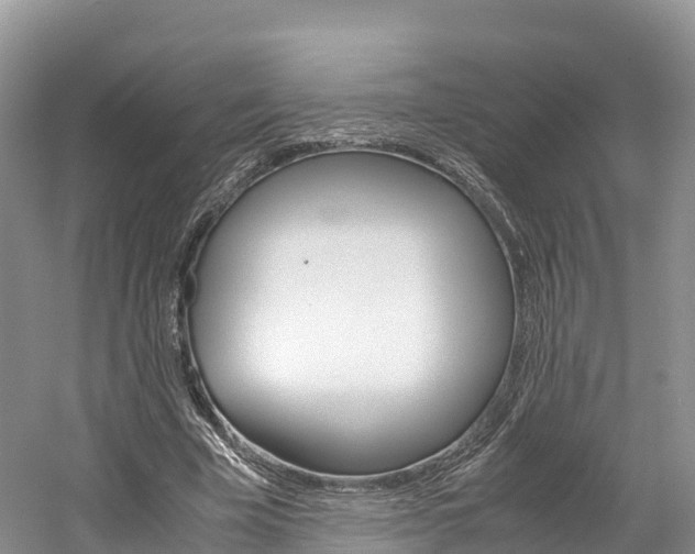 X0000061720585200512021044