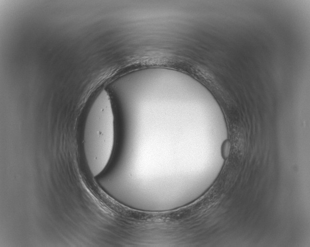 X0000061720586200512021044
