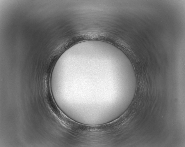 X0000061720590200512021044