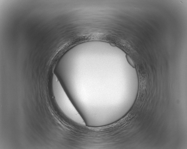 X0000061720591200512021044