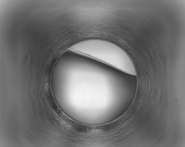 X0000061720593200512021044
