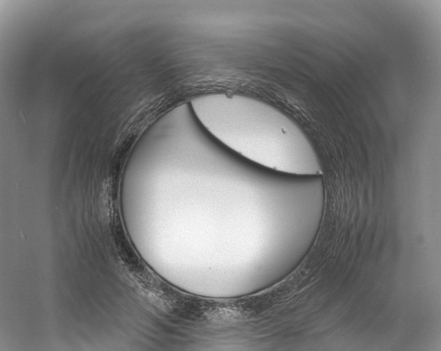 X0000061720594200512021044