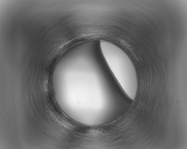 X0000061720596200512021044