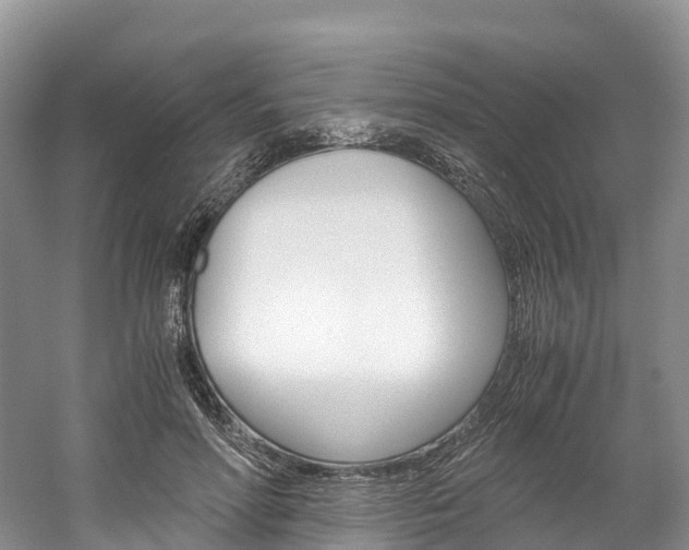 X0000061720598200512021044