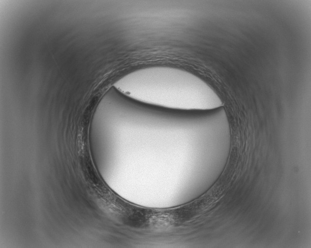 X0000061720599200512021044