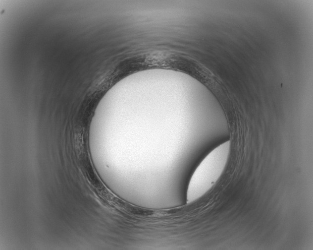 X0000061720603200512021044