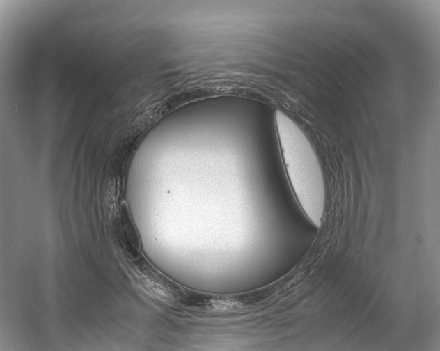 X0000061720605200512021044