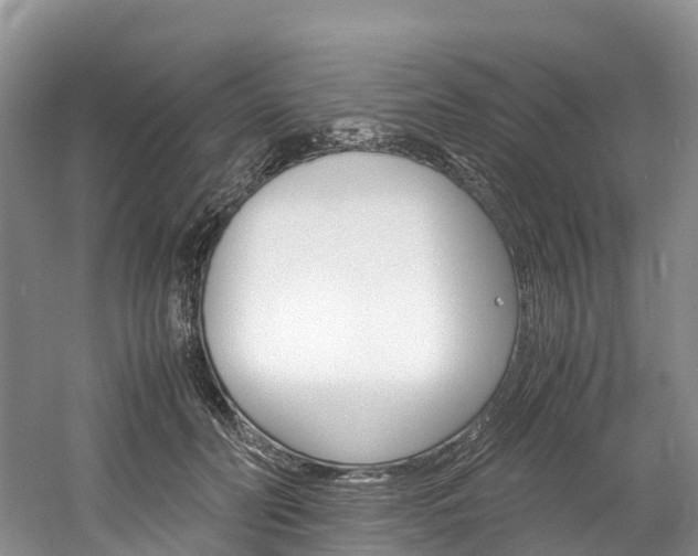 X0000061720606200512021044