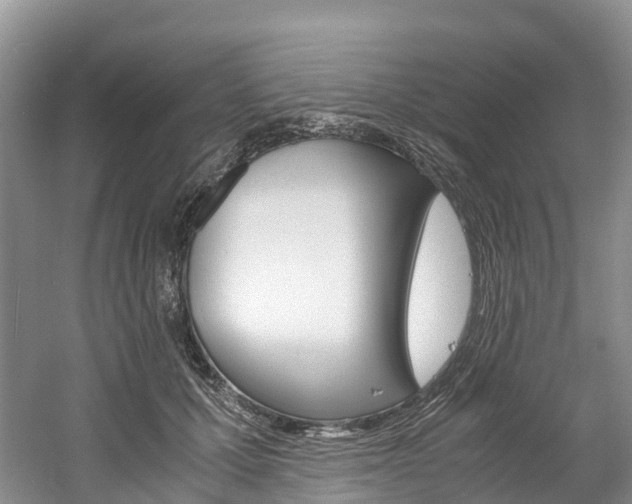 X0000061720607200512021044