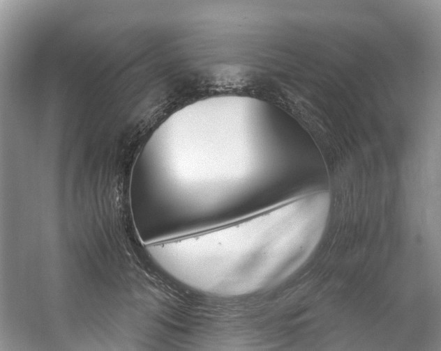 X0000061720608200512021044