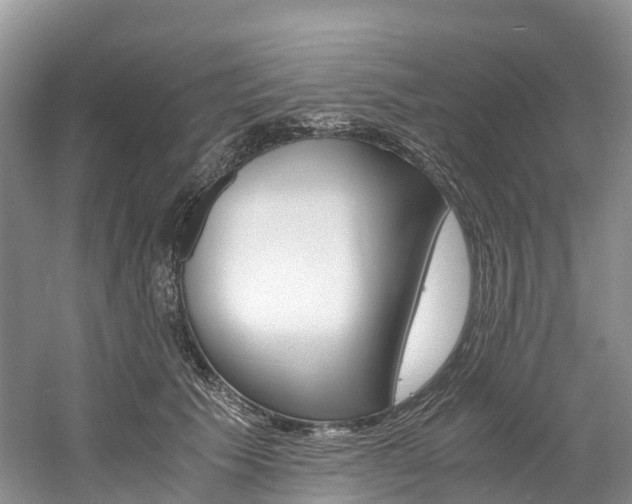X0000061720609200512021044