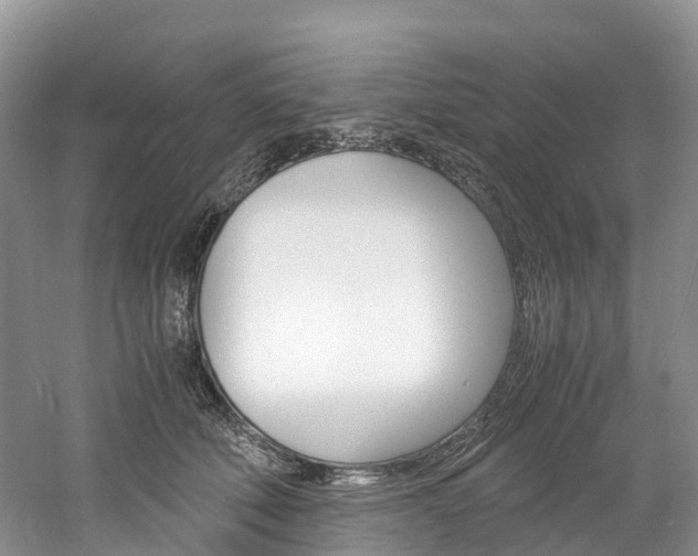 X0000061720610200512021044
