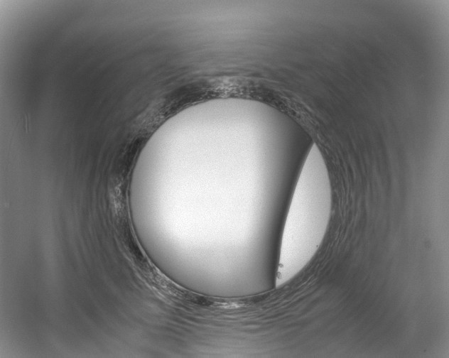 X0000061720611200512021044