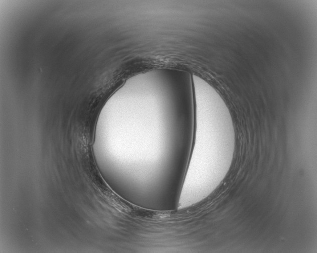 X0000061720613200512021044