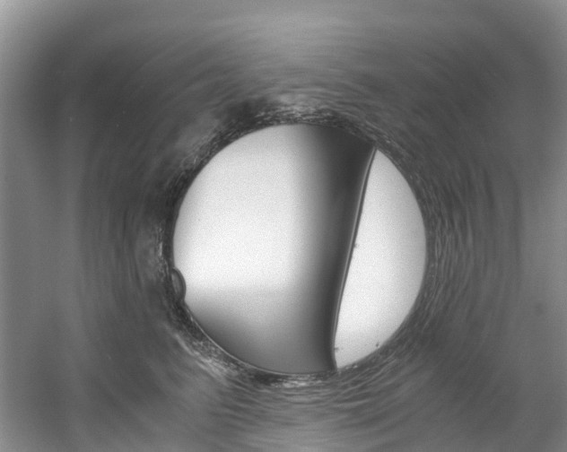 X0000061720615200512021044