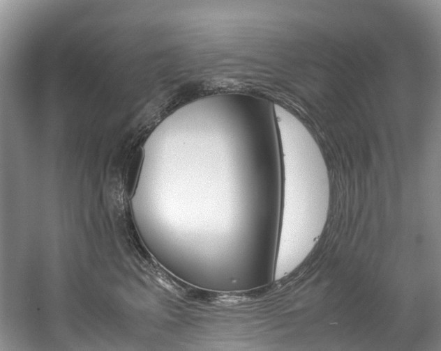 X0000061720617200512021044