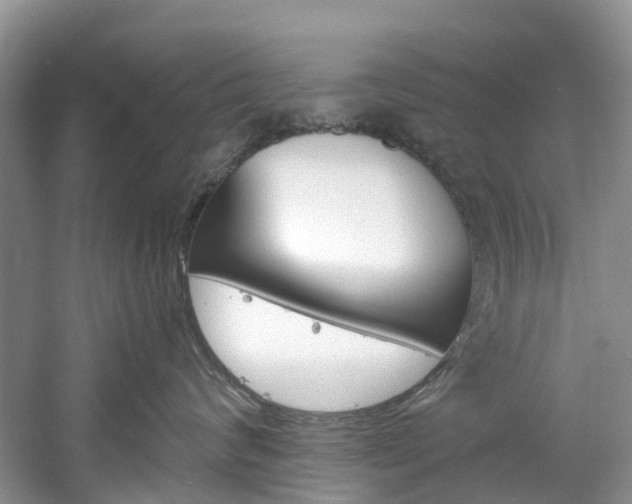 X0000061720624200512021044