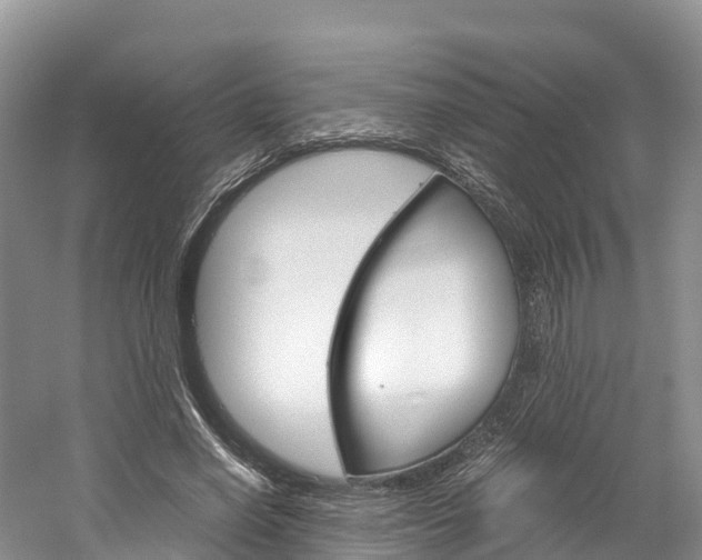 X0000061720638200512021043