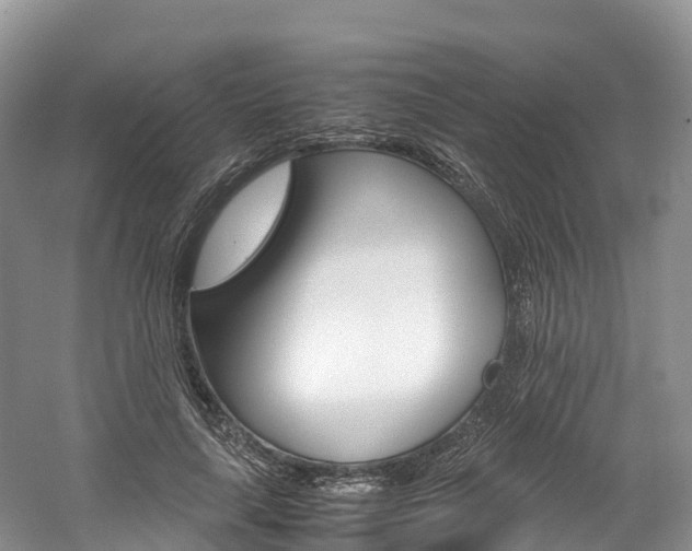 X0000061720643200512021043