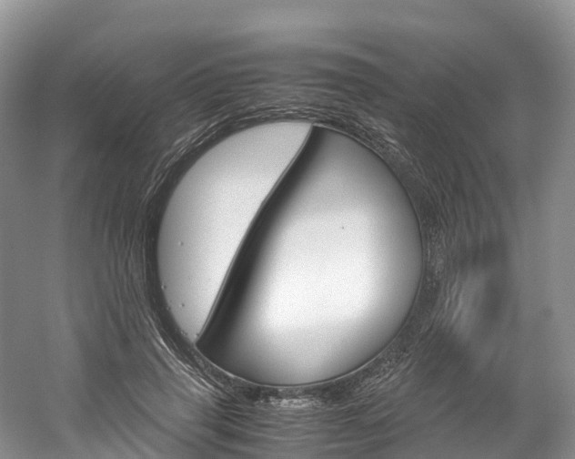 X0000061720645200512021043
