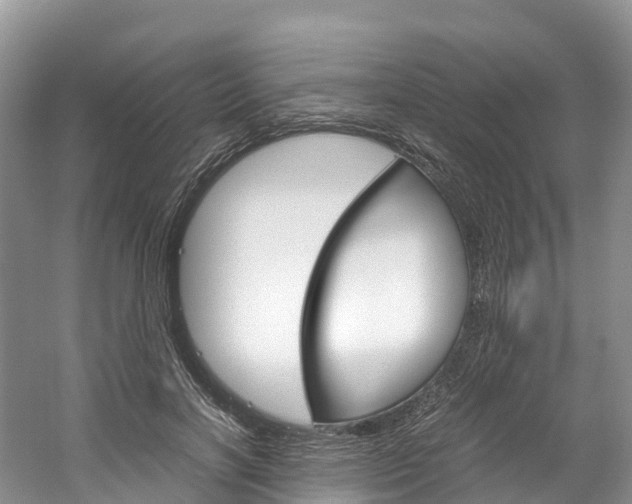 X0000061720646200512021043