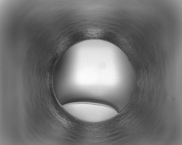 X0000061720647200512021043
