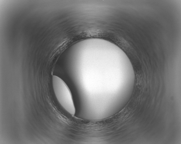 X0000061720648200512021043