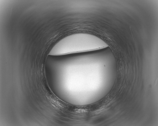 X0000061720649200512021043