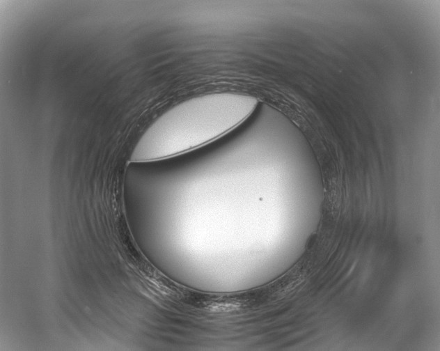 X0000061720653200512021043