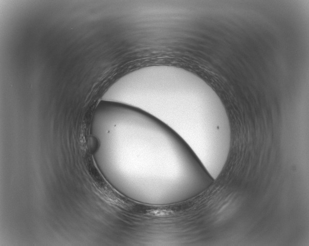 X0000061720654200512021043