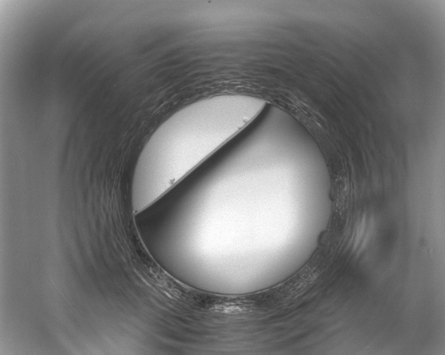 X0000061720655200512021043