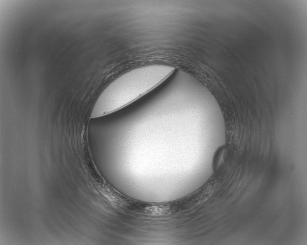 X0000061720660200512021044