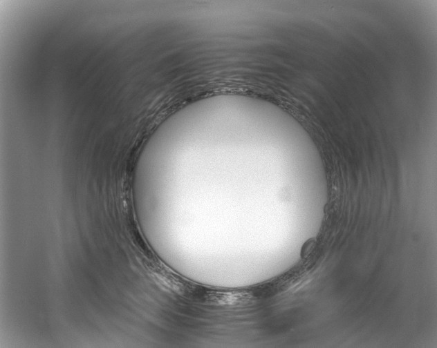 X0000061720663200512021044