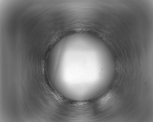 X0000061720664200512021044