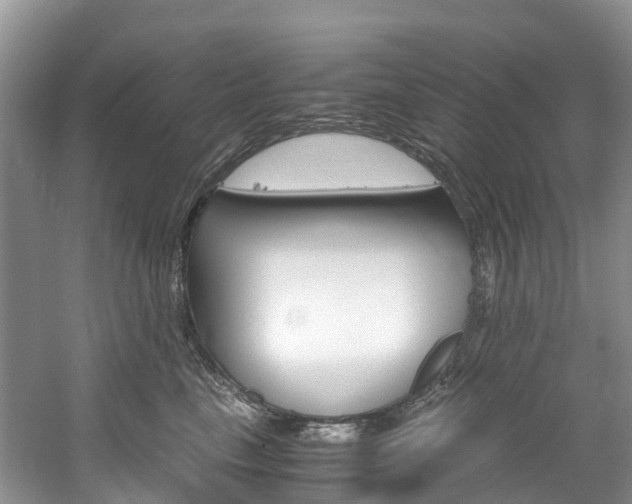 X0000061720665200512021044
