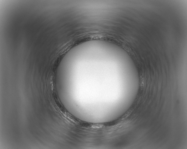 X0000061720666200512021044