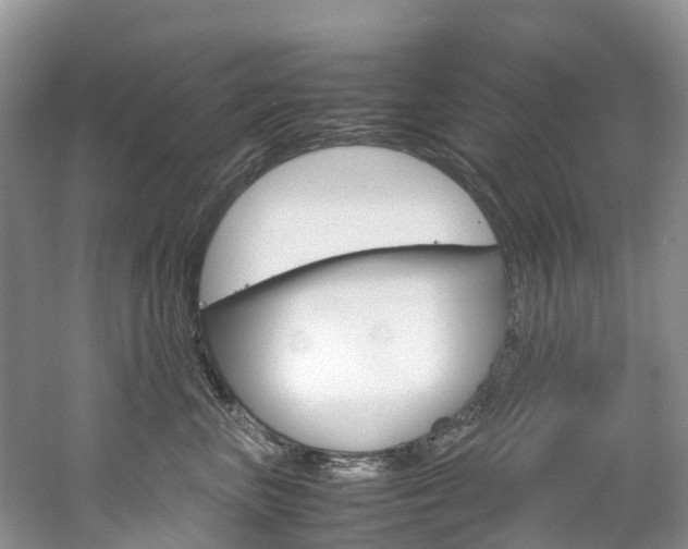 X0000061720667200512021044