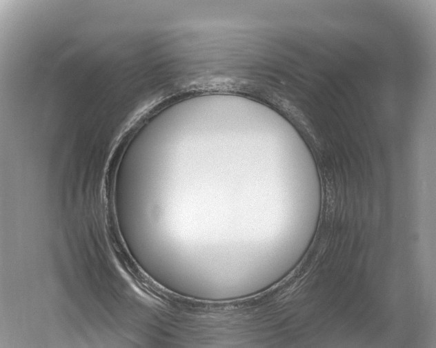 X0000061720674200512021043