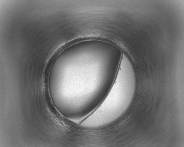 X0000061720676200512021043