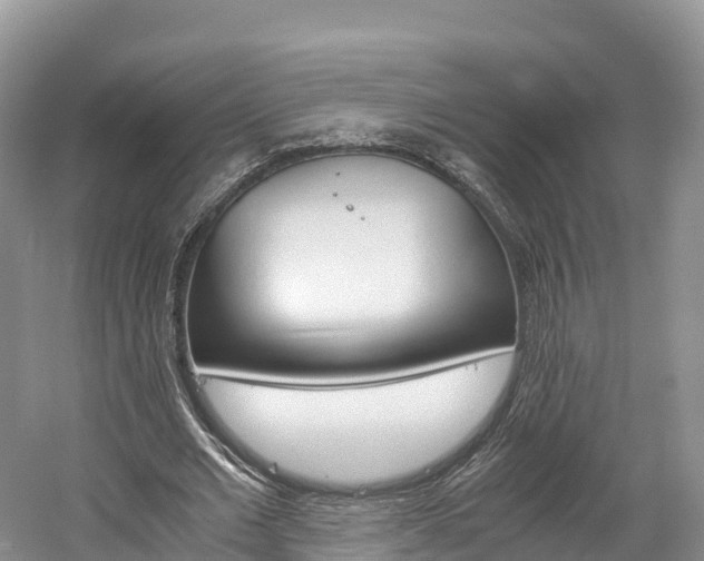 X0000061720677200512021043