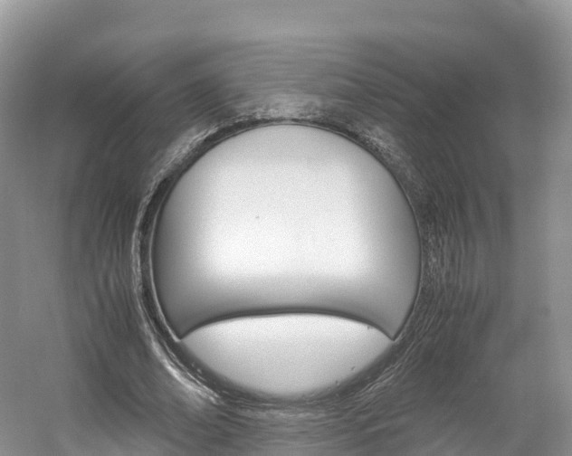 X0000061720678200512021043