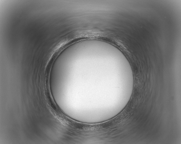 X0000061720679200512021043