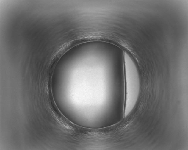 X0000061720681200512021043