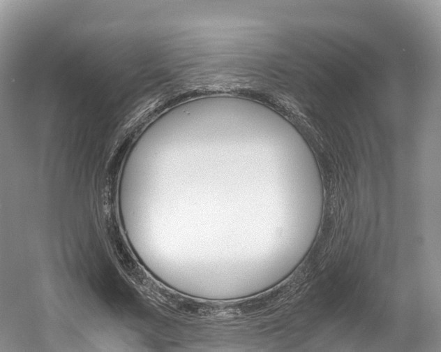 X0000061720683200512021043