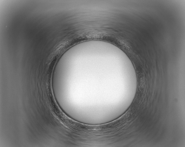 X0000061720687200512021043