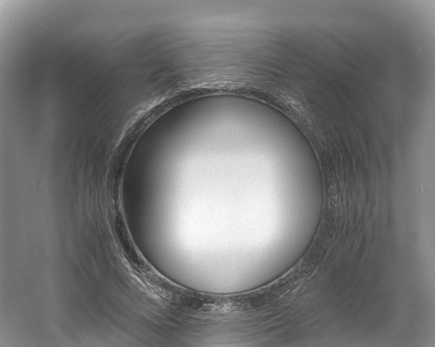 X0000061720688200512021043