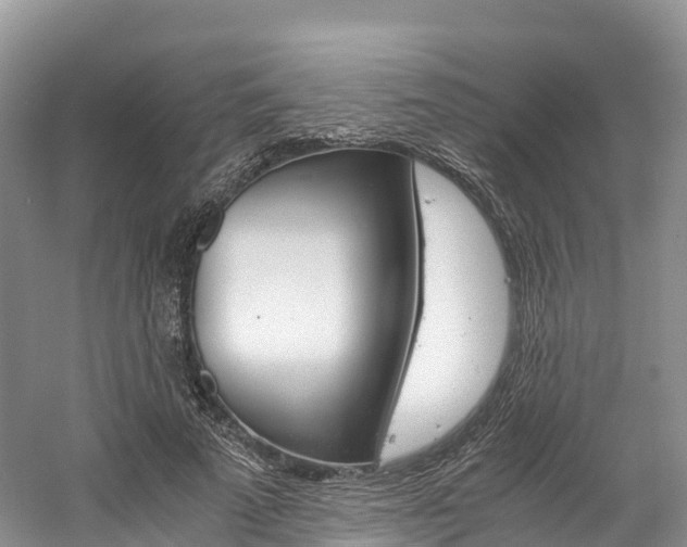 X0000061720689200512021043