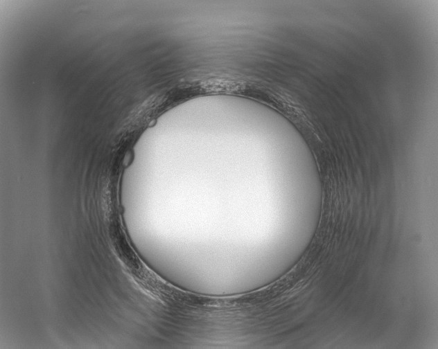 X0000061720690200512021043