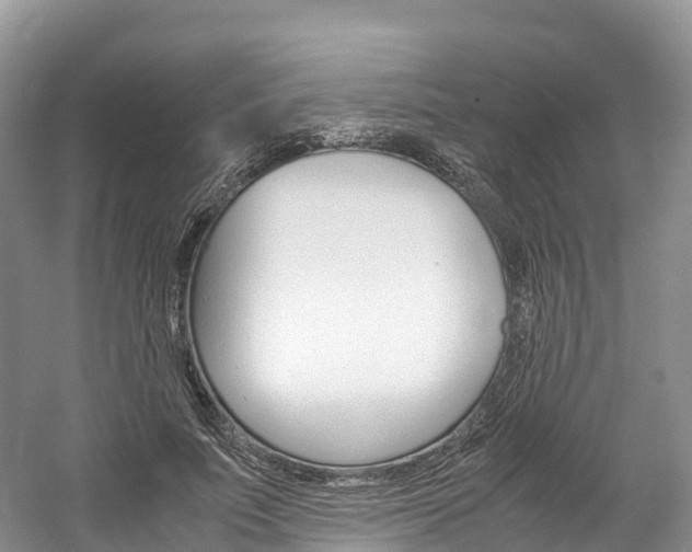X0000061720691200512021043